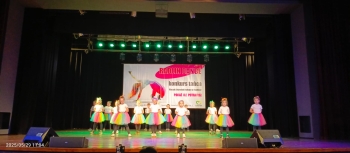 IMG-20250529-WA0015
