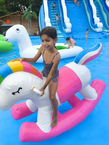 IMG_20260713_113406