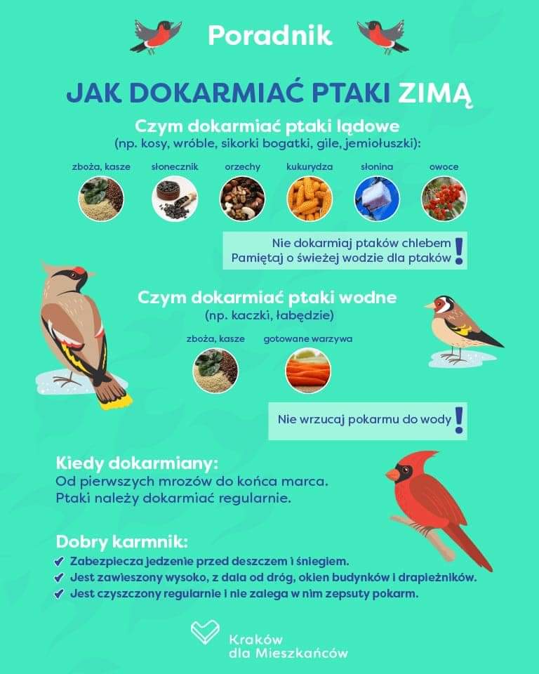 Dokarmianie ptaszków zimą - zajęcia plastyczno/tematyczne 16.01.2024